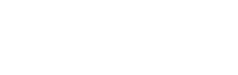 Logo YSL - PARIS 30th anniversary