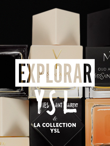 Explorar YSL y La Collection YSL