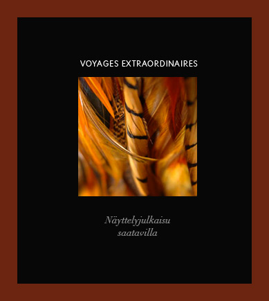 VOYAGES EXTRAORDINAIRES  Näyttelyjulkaisu saatavilla