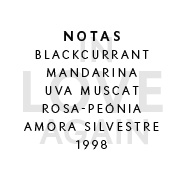 In Love Again - NOTAS  BLACKCURRANT MANDARINA UVA MUSCAT ROSA-PEÓNIA AMORA SILVESTRE 1998 