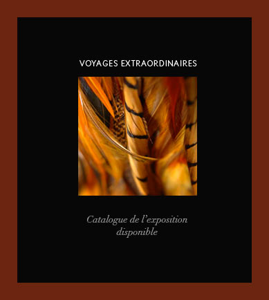 Voyages Extraordinaires - Catalogue de l'exposition disponible