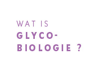 Wat is glycobiologie?