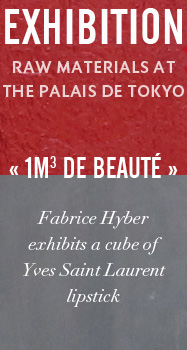 RAW MATERIALS AT THE PALAIS DE TOKYO. Fabrice Hyber exhibits a cube of  