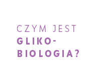 Czym jest glikobiologia? 