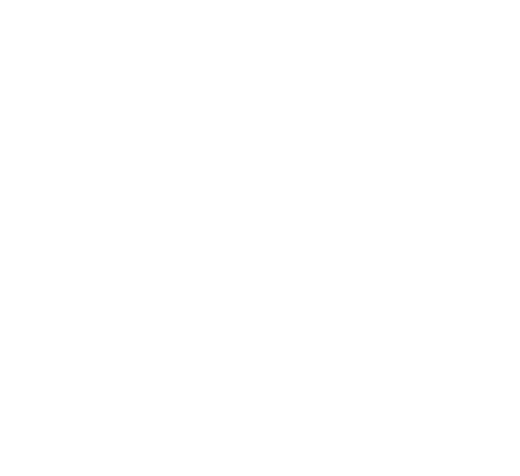 MAGNETISMO carisma sensual MASCULINIDADE