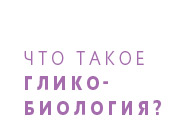 Что такое гликобиология?